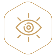 Vision icon
