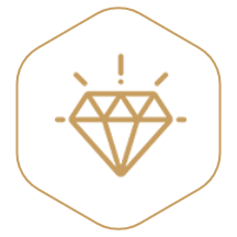 Values icon